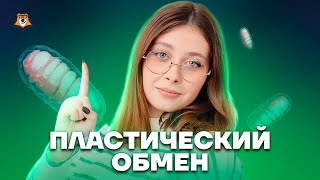 Пластический обмен | Биология ЕГЭ для 10 класса | Умскул