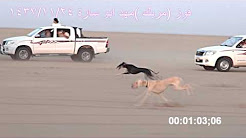 فوز مربك مهد ابو سارة المجاني