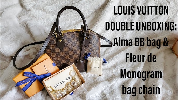 Louis Vuitton Alma BB Damier Ebene Pros & Cons MOD SHOTS All