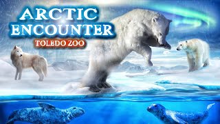 Zoo Tours Ep. 16: The Toledo Zoos Arctic Encounter (2000)