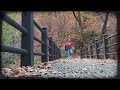 Autumn scenery in Korea