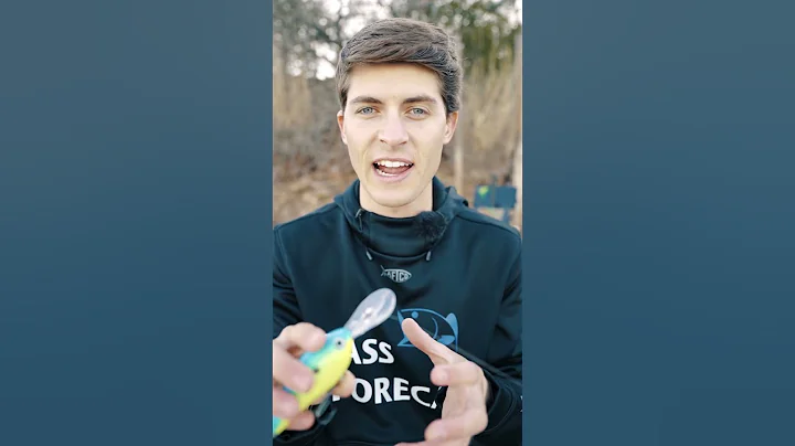 Deep Diving Crank - Key Features w/ @tylerreks1856@TylersReelFishing