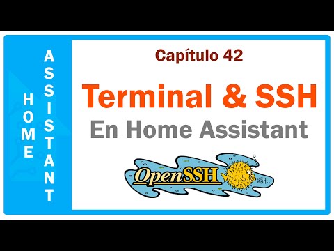 Terminal SSH en Home Assistant