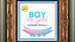 “Boy or Girl (Gender Reveal)” - ET littles