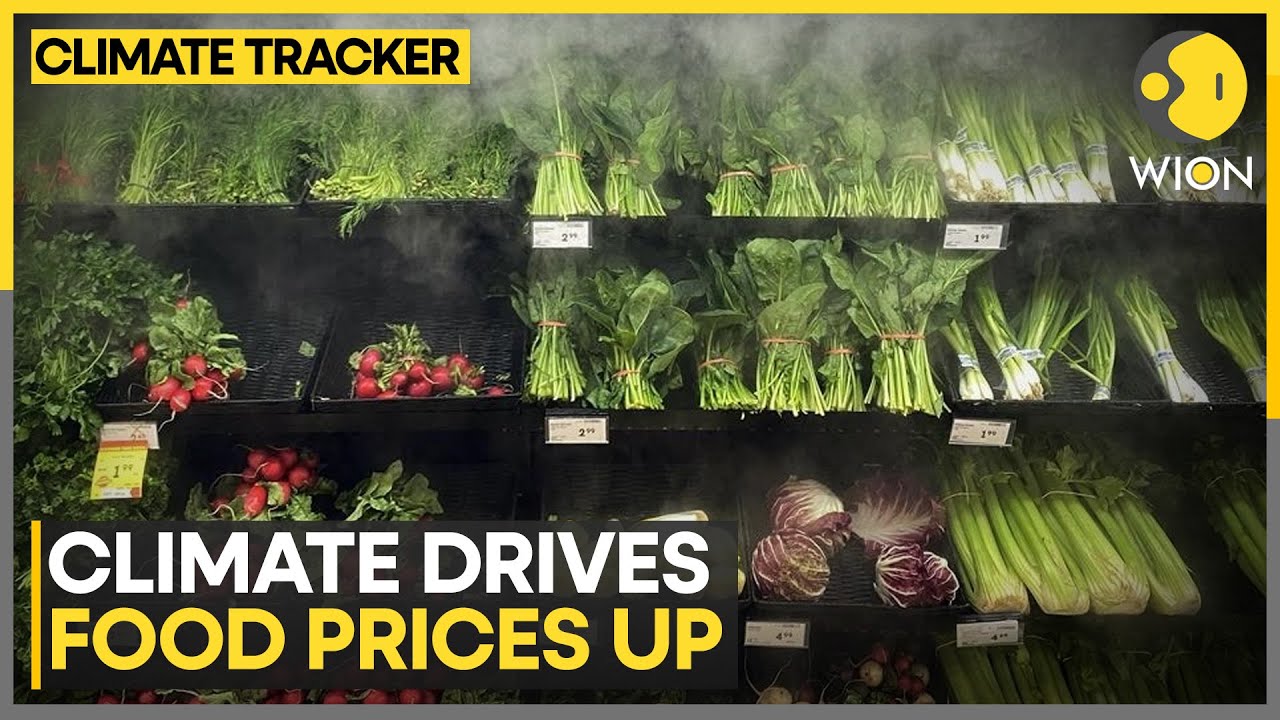 Study Says Heat And Drought Spikes Food Cost | WION Climate Tracker ...