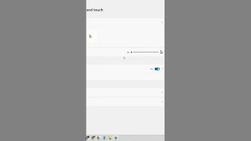 Easy Way to Customize Your Mouse Pointer on Windows!