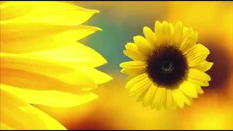 Patterns and Numbers in Life (MMW)