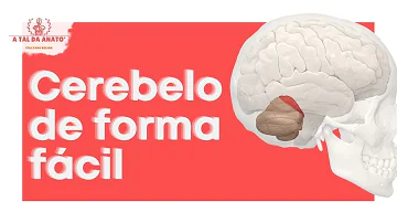 Quais são as consequências da lesão do cerebelo?