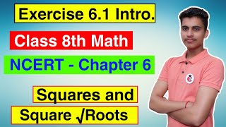 Class 8 Math Chapter 6 Square and Square Roots Exercise 6.1 Introduction | NCERT Solution