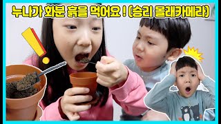 누나가 화분 흙을 먹어요! 쪼코퍼묵으로 승리 몰래카메라를 해봤어요 [사랑아놀자 LOVE&TORY]