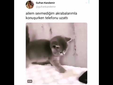 Tom yeni  və video və gülməli video 2019