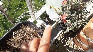 Irrigador automático com painel solar e Arduino