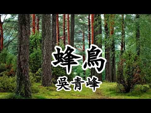 蜂鳥 - 吳青峰【2019新歌首發】