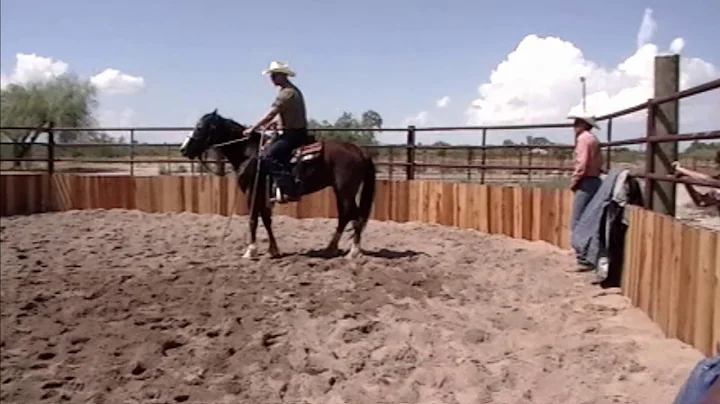 Mustang (Twinkie) first ride - Lanny Leach Colt St...