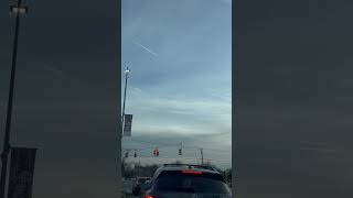 IMG 7279