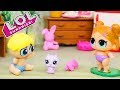 Куклы ЛОЛ Смешные Мультики #17 Игрушки - Сюрпризы lol dolls