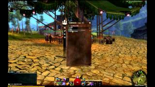 Guild Wars 2 Stress Test Monday