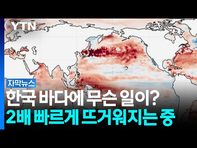 가장 빠른 속도로 데워지는 중인 우리 바다 ...해양 생태계 '비상' [자막뉴스] / YTN