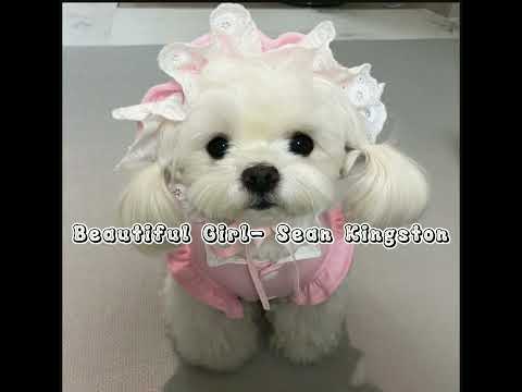 Beautiful girl- Sean