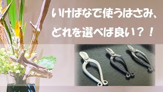 【生け花】華道の道具、花ハサミはどれを選べば良い？！