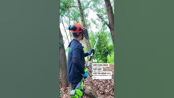 Máy cưa cành kết hợp cắt tỉa hàng rào trên cao Greenworks 40V