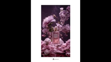 Our graphic designer is away. Leonardo AI is the sub for the day… and yes, we brought a movie.