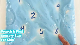 Sensory Activities for Preschoolers & Toddlers | Search & Find Sensory Bag | Learn Alphabet & Colors