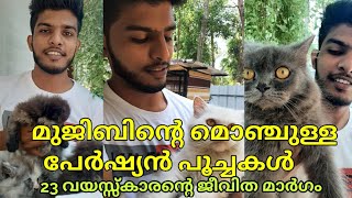 പേർഷ്യൻ പൂച്ചകൾ വളർത്തൽ നിസാരം ||ക്ഷമ ഉണ്ടങ്കിൽ പണം പതിയെ വരും  ||