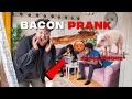 BACON PRANK ON MY MUSLIM BROTHERS *Gone Wrong*
