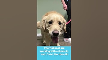 Week 4 | Weekly Round-Up | Squideo Animated Explainer Videos