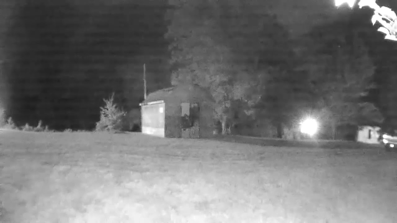 Video Security camera at the back door of the farm house - YouTube