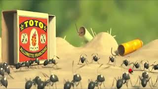 الحرب الكبرى بين النمل الاحمر والاسود