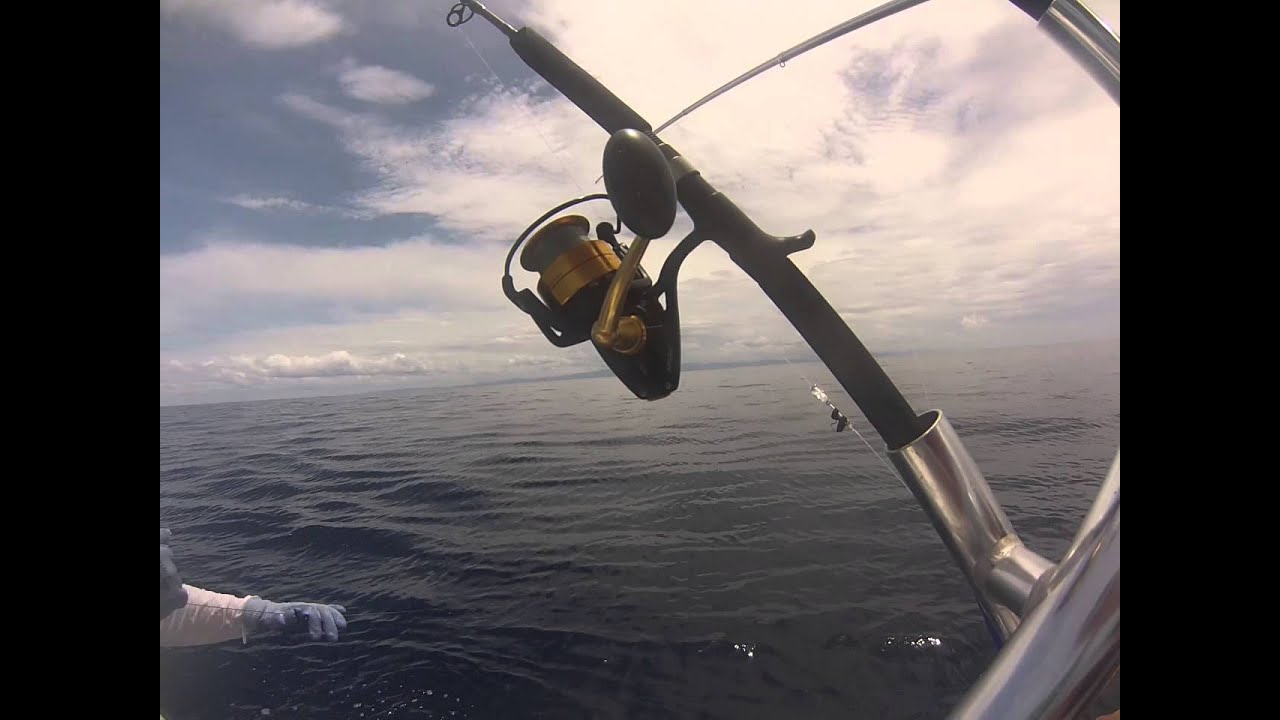 Marlin Release Costa Rica Fishing Nosara YouTube