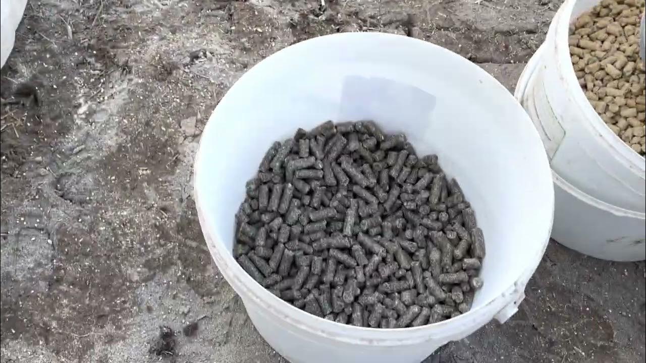 Часть 1. Корм для несушек. Из чего и на чем готовим - YouTube