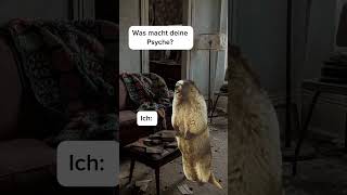 Wie es mir geht? #memes #satire #comedy