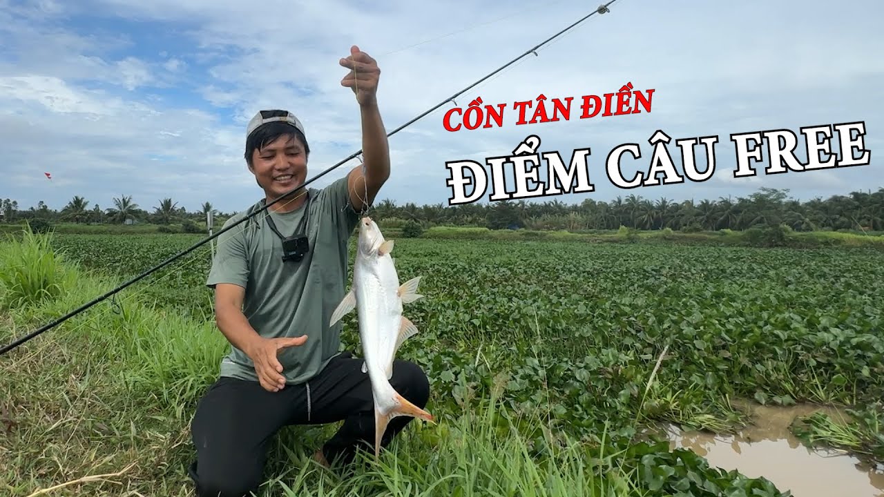 ĐIỂM CÂU CÁ THIÊN NHIÊN MIỄN PHÍ Ở CỒN TÂN ĐIỀN BẾN TRE