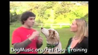 Interview with Doggy Dan