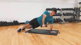 Side Plank Reverse Fly