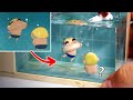 짱구 훈이 수영장 디오라마 만들기 Shin-chan Swimming pool diorama with polymer clay and epoxy resin