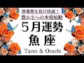 最高としか言えん。築いてきたものがBIGすぎる魚座❗️停滞期を抜け快進!!️ここからが本格始動です。5月起こること・全体運[個人鑑定級タロットヒーリング]