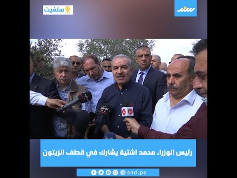 رئيس الوزراء محمد اشتية يشارك في قطف الزيتون في سلفيت