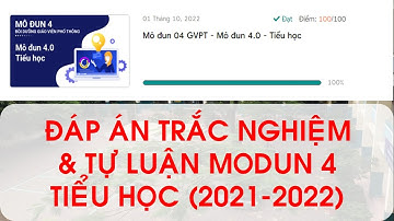 ĐÁP ÁN TRẮC NGHIỆM VÀ TỰ LUẬN -  MODUN 4 -  TIỂU HỌC - NĂM 2021- 2022