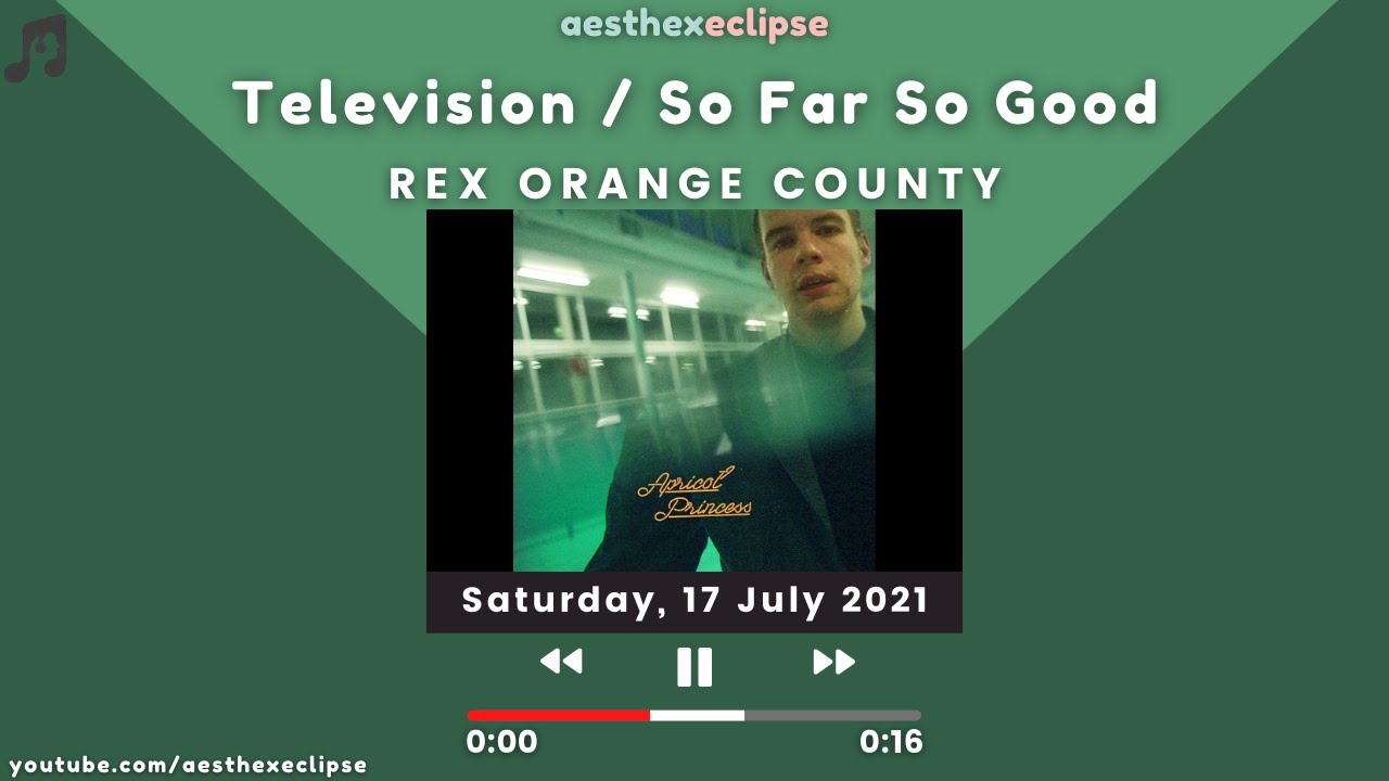 Rex Orange County-Television So Far So Good WhatsApp Status | English Song Status | Aesthetic Status