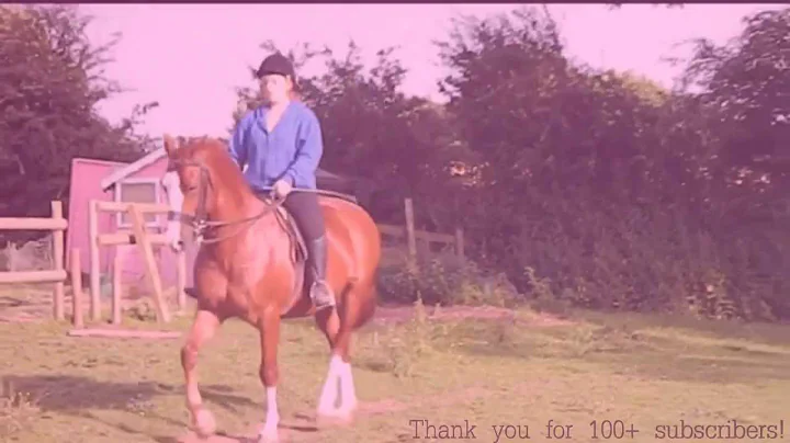 100+ subscriber video! :D ¬READ DESC.¬