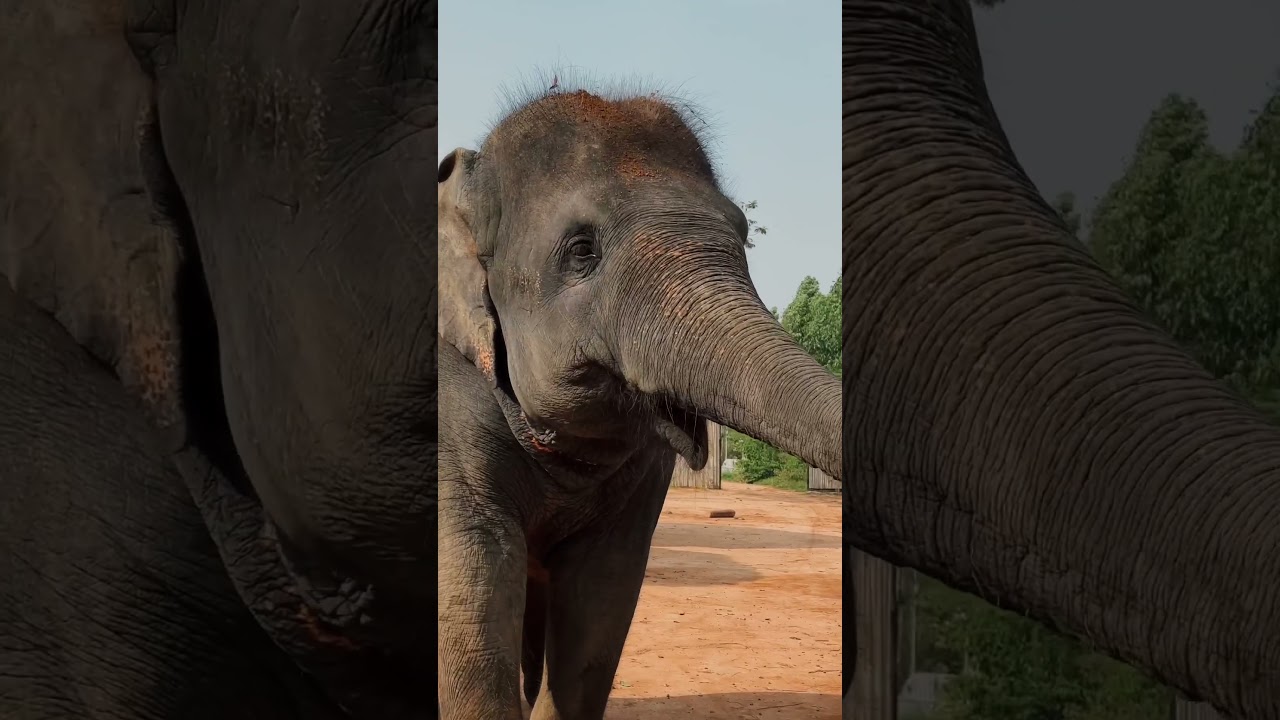 Vlog c Тайланда 2 часть уже на канале 🥹🫶🏻