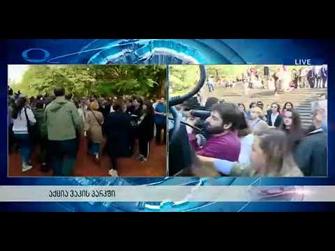 ვაკის აქციის ორგანიზატორებმა სახალხო დამცველს აგინეს