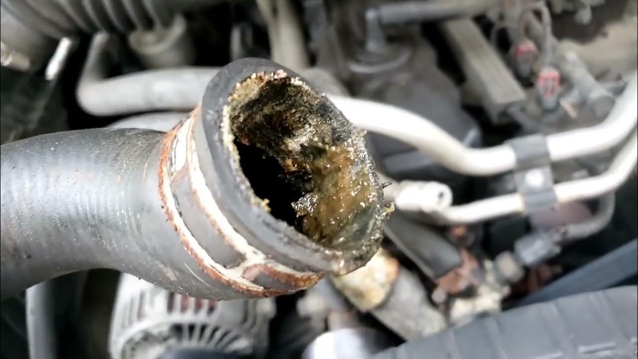 Replacing a Radiator Also Replace Radiator Hoses while you're in there