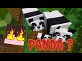 Theyre finally going to add pandas  minecraftio