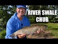 Chub Fishing On The River Swale