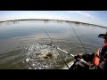 Будни на озере Кайбагор, море всякой живности, в частности хищники🦈